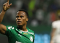 Palmeiras derrota Botafogo e assume liderança do Campeonato Brasileiro