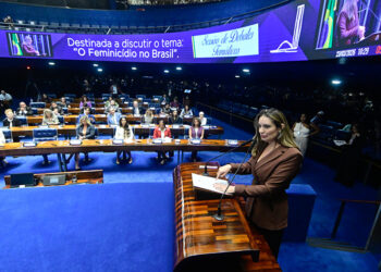 Ação do Estado pode reduzir feminicídios, afirmam debatedores no Senado — Senado Notícias