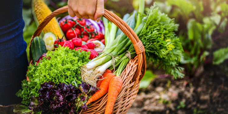 CRA vota projeto para facilitar doação de alimentos e combater desperdício — Senado Notícias