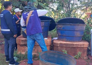 Chikungunya: entenda doença que preocupa Mato Grosso do Sul