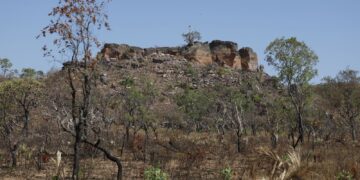 Pesquisa com IA identifica terras agrícolas abandonadas no Cerrado
