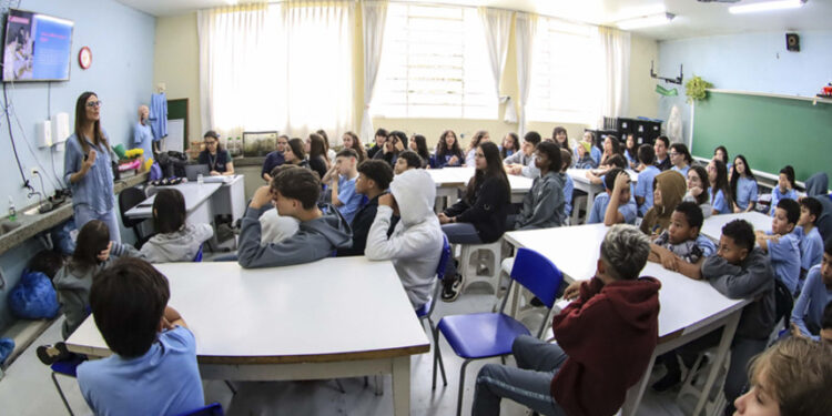 Empreendedorismo jovem e turismo cívico estão na pauta da CE — Senado Notícias