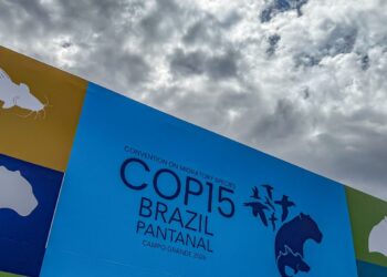 Cúpula de líderes orienta debates para COP15 em Campo Grande