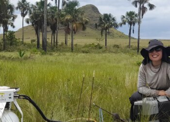 Estudo indica que Cerrado pode armazenar mais carbono que Amazônia