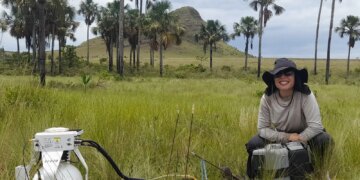 Estudo indica que Cerrado pode armazenar mais carbono que Amazônia