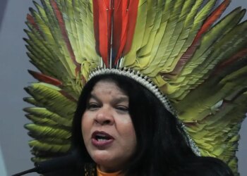 Sônia Guajajara apresenta melhoras, mas continua internada em SP