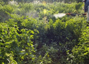 Comitê lista ações prioritárias para Programa de Redução de Agrotóxico