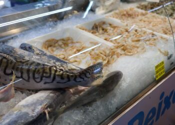 Vigilância Sanitária orienta sobre compra de pescado na Semana Santa