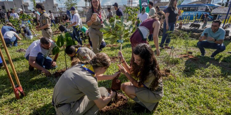 COP15 no Brasil promove conexão entre povos e territórios