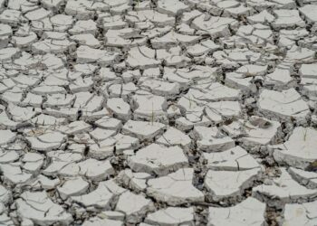 Estiagem: quinze cidades têm situação de emergência decretada