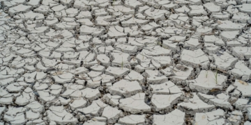 Estiagem: quinze cidades têm situação de emergência decretada
