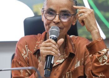 Em balanço, Marina destaca queda do desmatamento e maior fiscalização