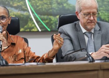 Criação de autoridade climática é prioridade de Lula, diz Marina Silva