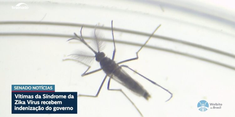 Vítimas de zika vírus recebem indenização do governo — Senado Notícias