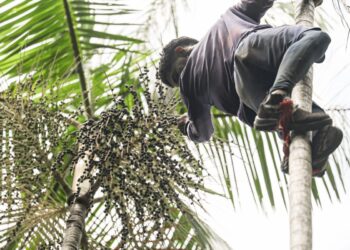 Governo investe R$ 132 milhões em regularização fundiária na Amazônia