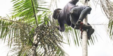 Governo investe R$ 132 milhões em regularização fundiária na Amazônia