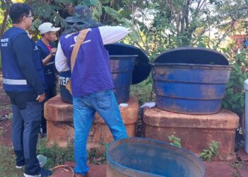 Chikungunya: ministro classifica como crítica situação em Dourados