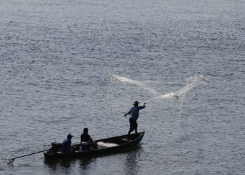 Universidade do Mar se torna realidade no Rio de Janeiro