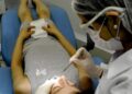 Iniciativa seleciona jovens para tratamento odontológico gratuito