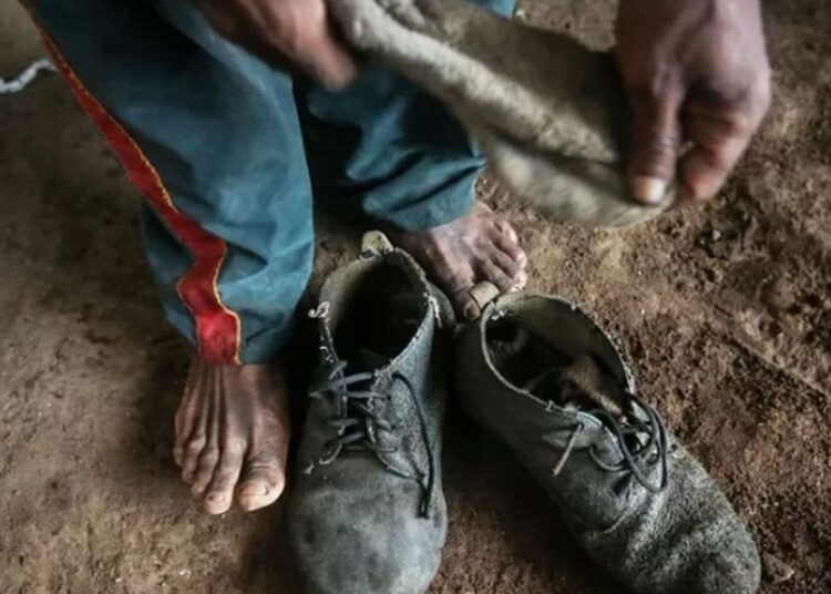 Amado Batista e BYD são incluídos em lista de trabalho escravo do MTE