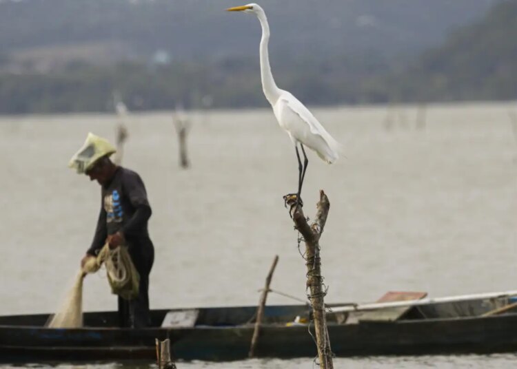 Mudanças aprovadas para o seguro-defeso previnem fraudes, diz relator
