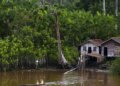 Projeto leva tratamento gratuito a doenças negligenciadas no Amazonas