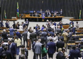 Câmara aprova Medida Provisória com novas regras para seguro-defeso