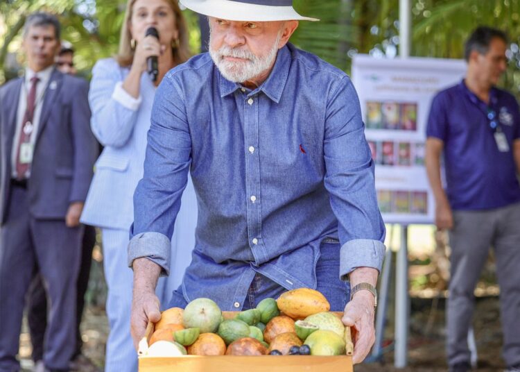 Lula: qualidade do agro é essencial para ampliar exportações