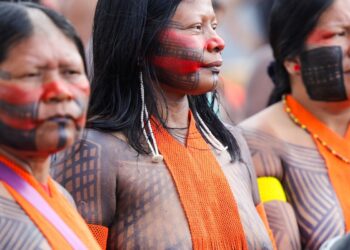 Campanha vai aplicar 89 mil doses de vacinas em territórios indígenas