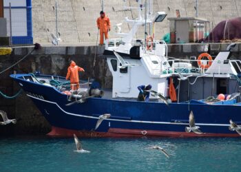 Projeto facilita habilitação de aquaviário para pescadores — Senado Notícias