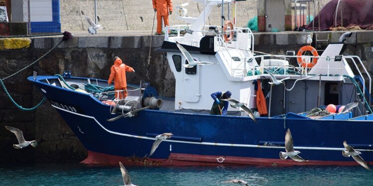 Projeto facilita habilitação de aquaviário para pescadores — Senado Notícias
