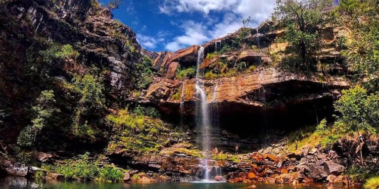 Criança de 8 anos é atacada por onça na Chapada dos Veadeiros