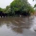 Temporal no RS deixa desalojados e provoca danos em 19 cidades