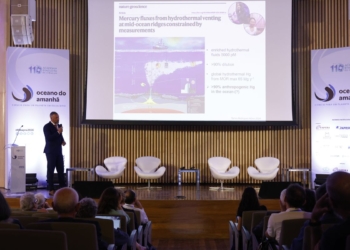 Pesquisadores alertam para impacto da poluição do oceano por mercúrio