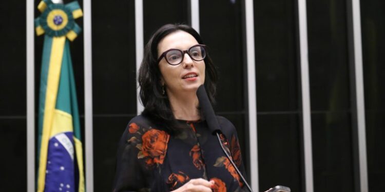 Comissão debate papel de universidades na reconstrução da Zona da Mata mineira – Notícias