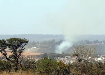 MMA lança edital para arborizar periferia urbana de pequenas cidades