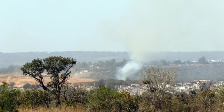 MMA lança edital para arborizar periferia urbana de pequenas cidades
