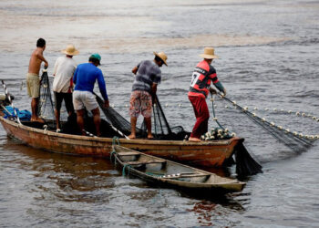 Sancionada Semana Nacional de Promoção da Pesca Artesanal — Senado Notícias