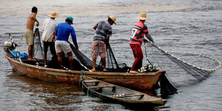 Sancionada Semana Nacional de Promoção da Pesca Artesanal — Senado Notícias