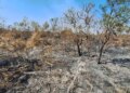 Mudanças climáticas já afetam 85% dos brasileiros, diz pesquisa