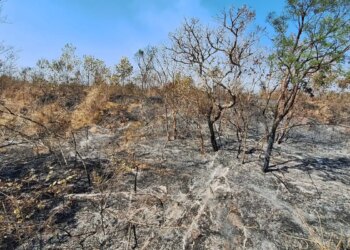 Mudanças climáticas já afetam 85% dos brasileiros, diz pesquisa