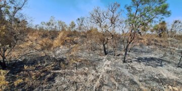 Mudanças climáticas já afetam 85% dos brasileiros, diz pesquisa