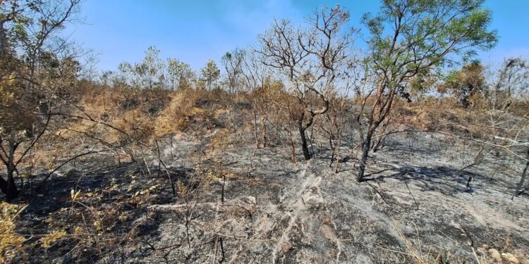 Mudanças climáticas já afetam 85% dos brasileiros, diz pesquisa