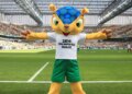 Mascote da Copa de 2014, tatu-bola deve ganhar plano de proteção