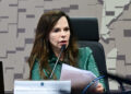 Prisão preventiva para quem bebe e mata no trânsito tem voto favorável na CCJ — Senado Notícias