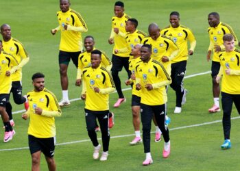 Semelhanças entre Brasil e África do Sul vão além do verde e amarelo