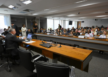 Em audiência, feirantes do DF relatam medo de perder locais de trabalho — Senado Notícias