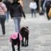 Semana começa com frente fria e chance de tempestade no Sul do País