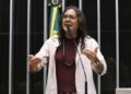 Comissão aprova projeto que obriga instalação de telhados verdes em novos prédios públicos – Notícias