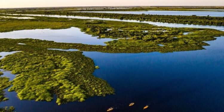 projetos no Senado reforçam agenda climática — Senado Notícias
